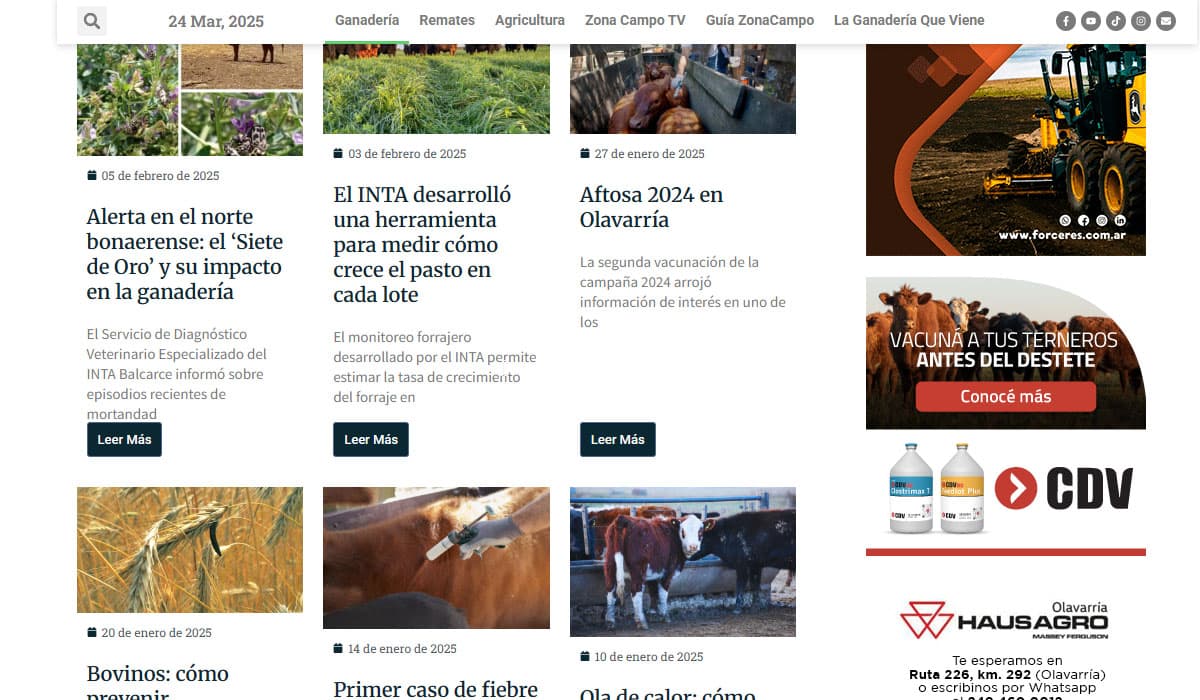 Galería 2